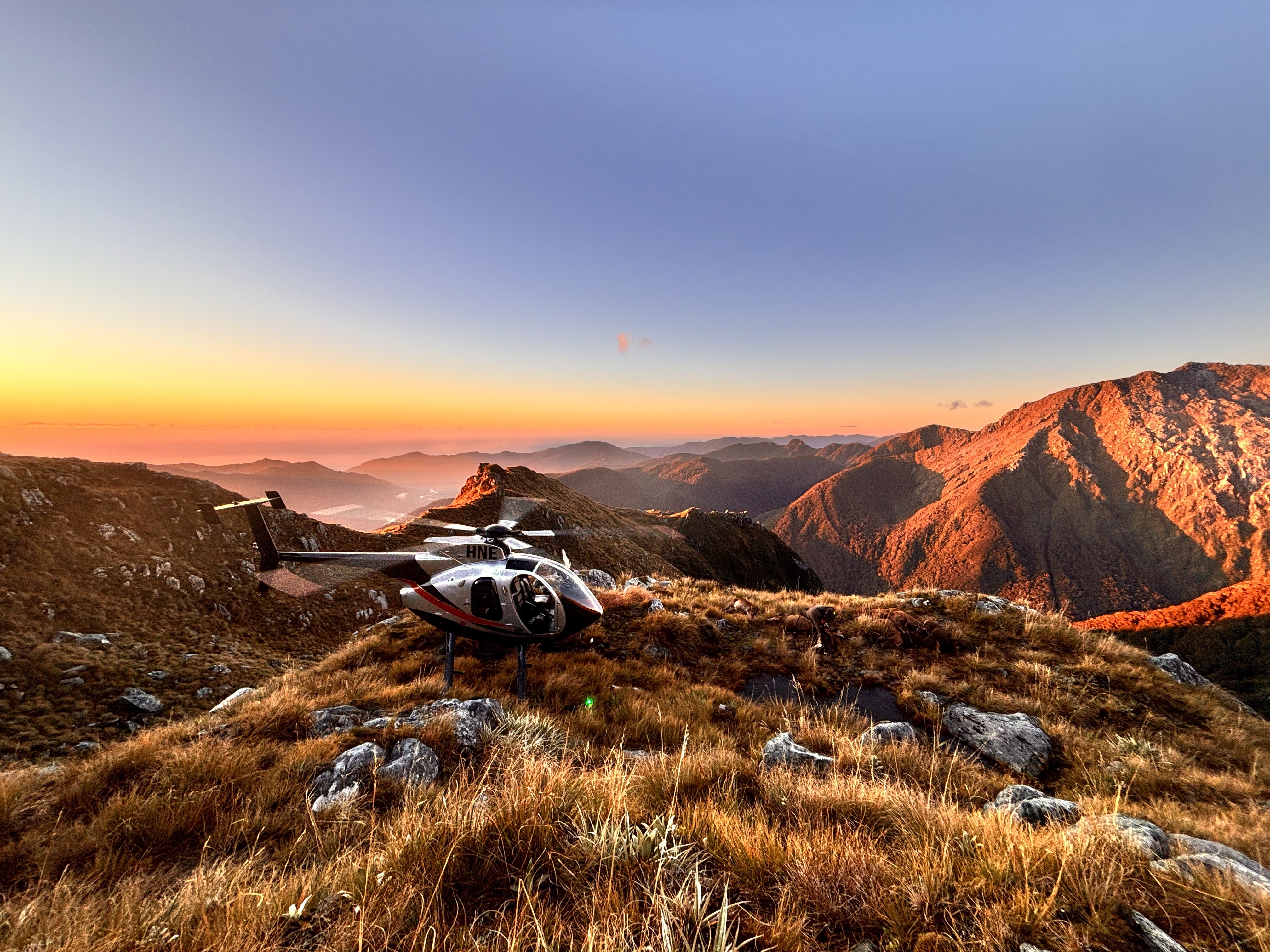 Hughes 500 HNE over south coast of fiordland on venison ops just before sunset