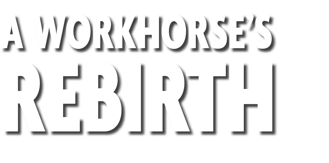 A Workhorse’s Rebirth 
