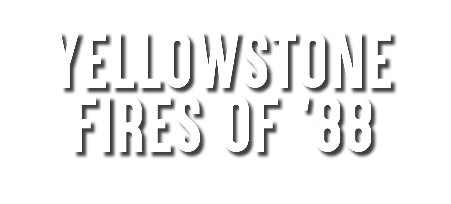 yellowstone fires of '88