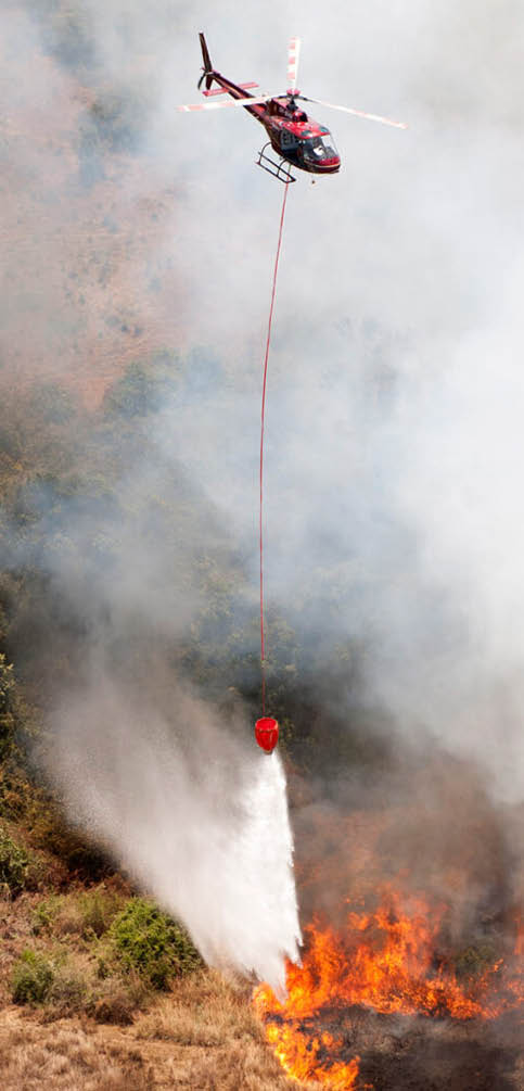 A red fire hose is being used to put out a fire in a forest. A helicopter is flying above, possibly dropping water on the fire. AI generated content