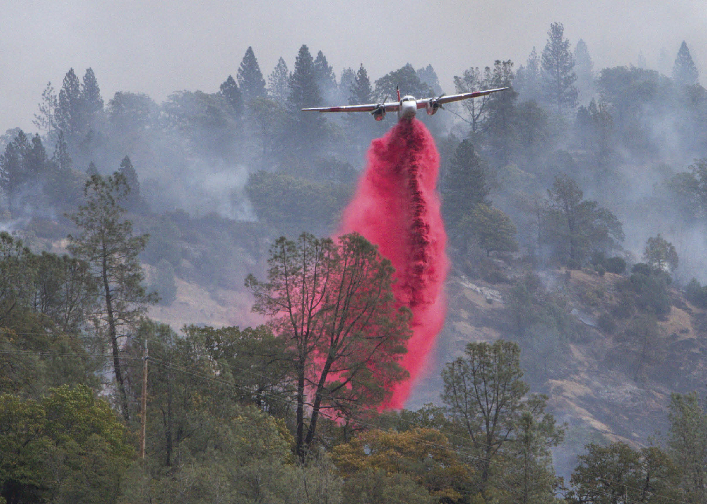 A red substance is being sprayed from an airplane flying over a forest. AI generated content