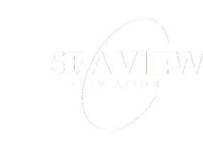 A logo for SeaView Aviation. AI generated content