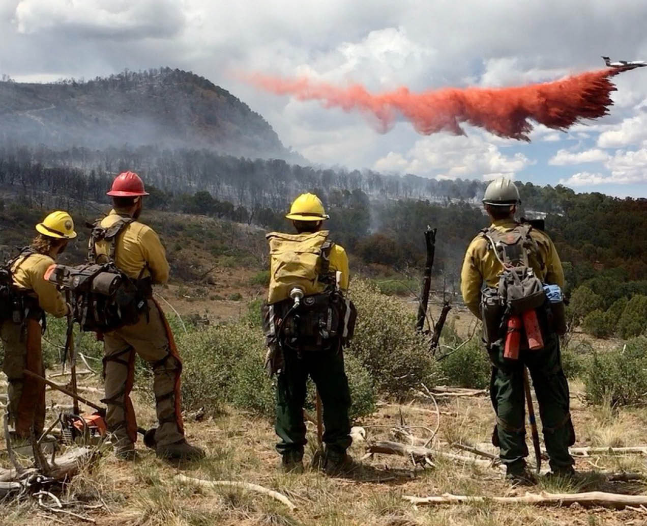 Four firefighters are standing in a field, watching a plane flying through the sky. AI generated content