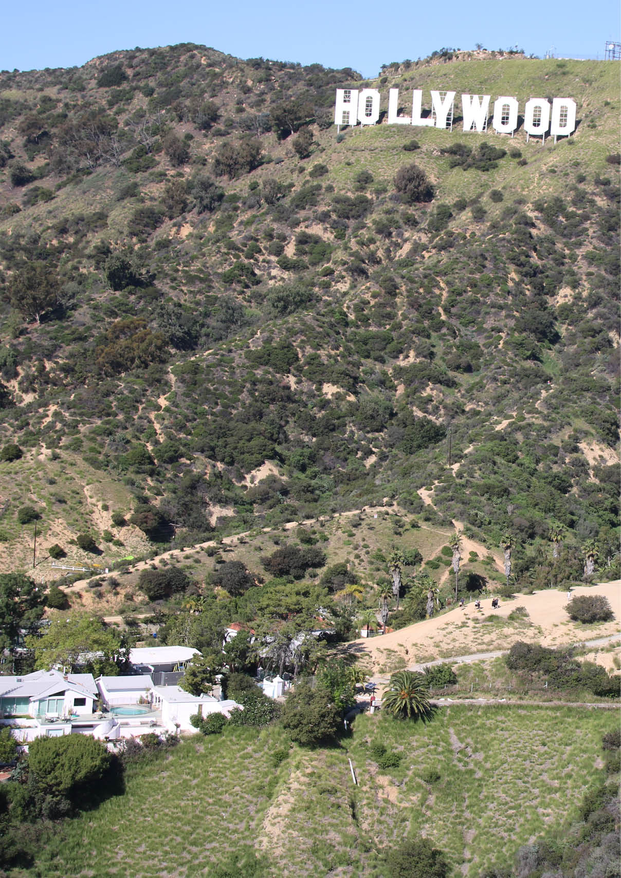 A hillside with a Hollywood sign on top. AI generated content