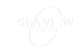 A logo for SeaView Aviation. AI generated content
