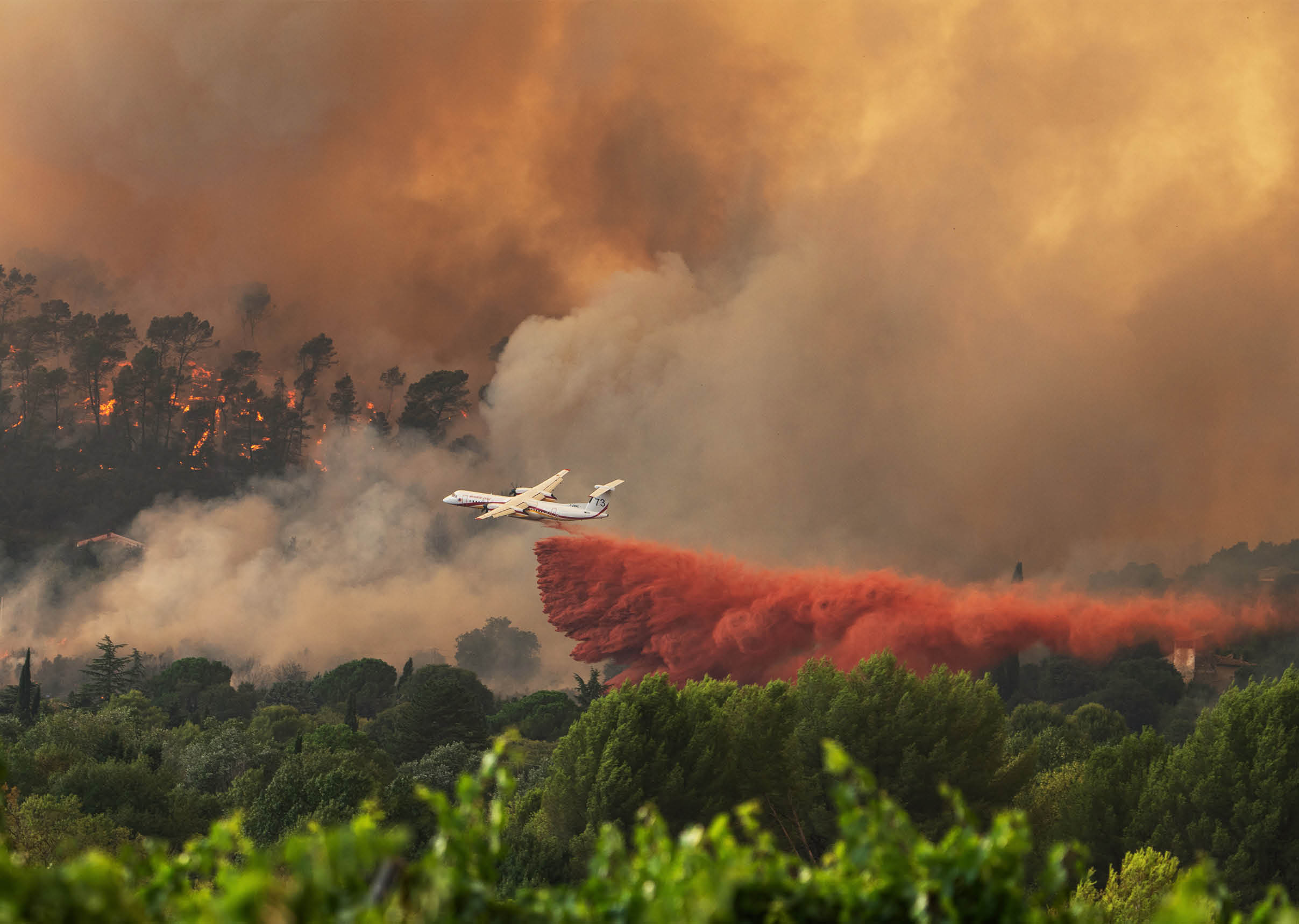 A plane is releasing a large plume of red fire retardant over a forest fire with thick smoke and flames visible among the trees. Description generated by AI
