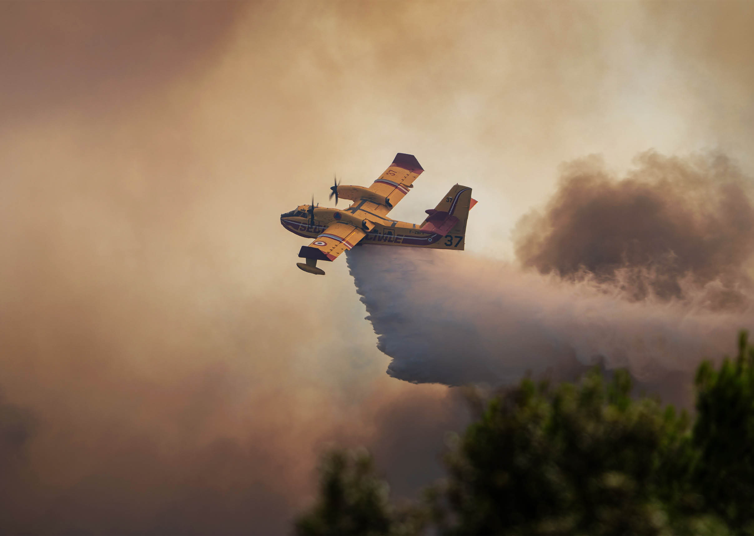 A firefighting airplane is releasing a large plume of water or fire retardant over a smoky area with trees visible in the foreground. Description generated by AI