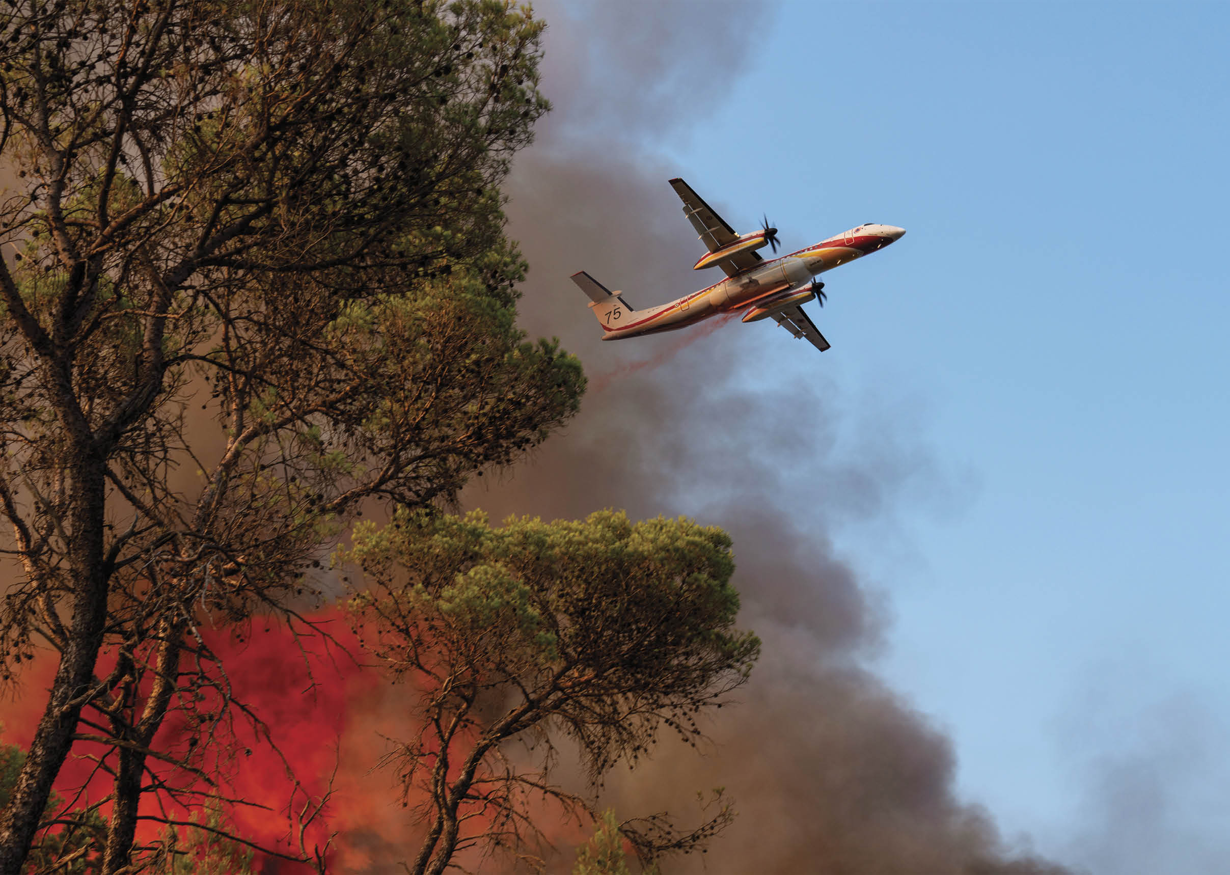 A firefighting airplane is flying above trees with thick smoke and flames from a wildfire below. Description generated by AI