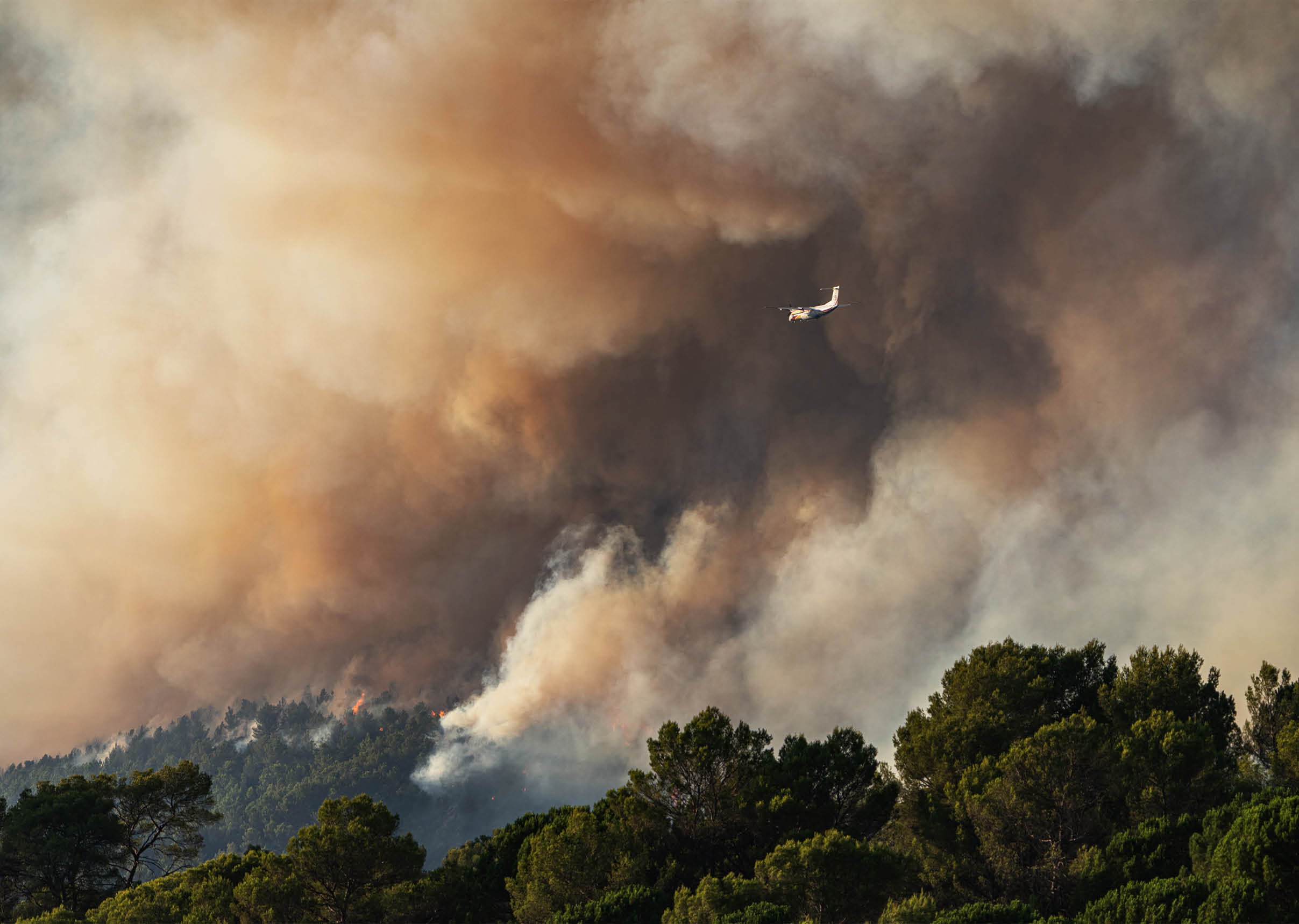 A plane flies above a forest fire with thick smoke billowing into the sky over green trees. Description generated by AI