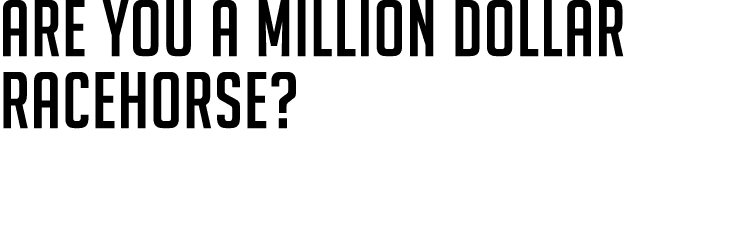 ARE YOU A MILLION DOLLAR RACEHORSE? 