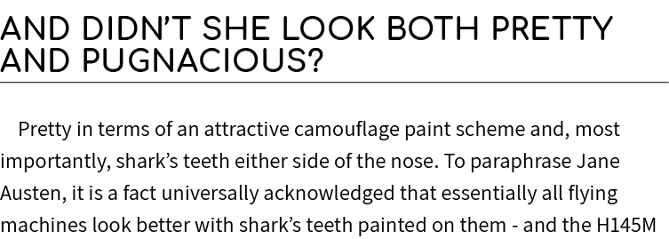 And didn’t she look both pretty and pugnacious? Pretty in terms of an attractive camouflage paint scheme and, most im...