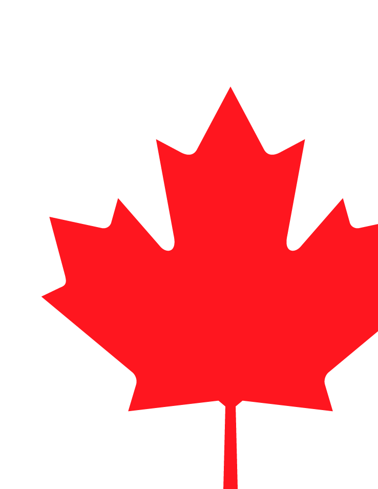 A red and white maple leaf on a white background. AI generated content
