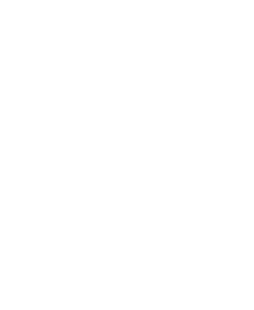 Argentine Pioneers in Air Assault