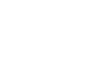 Argentine Pioneers in Air Assault the 601st Assault Helicopter Battalion 