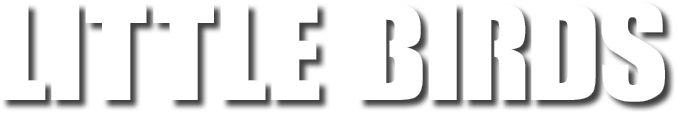 Polygon