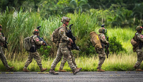 A group of people dressed in military camouflage uniforms and carrying backpacks and rifles are walking in a line along a paved path with tall grass and dense greenery in the background. Description generated by AI