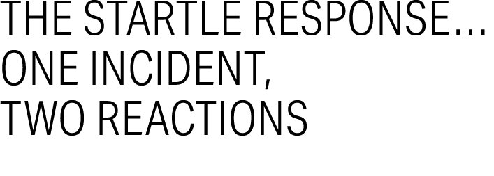 The Startle Response… One Incident, Two Reactions