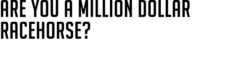 ARE YOU A MILLION DOLLAR RACEHORSE? 