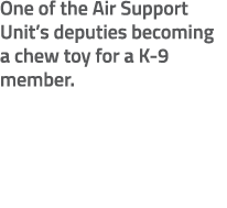 One of the Air Support Unit’s deputies becoming a chew toy for a K 9 member. 