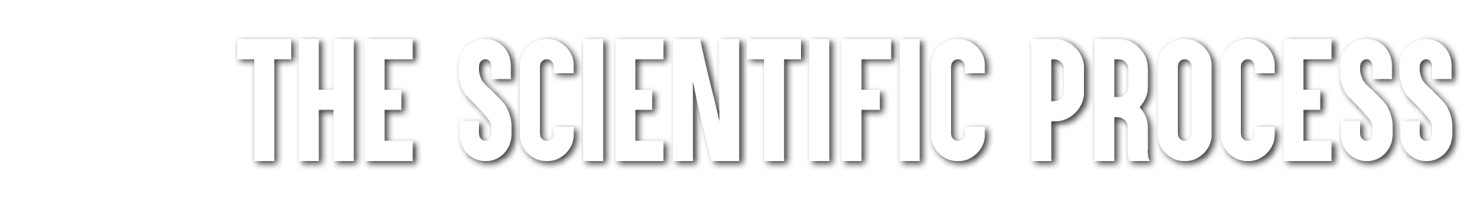 The Scientific Process