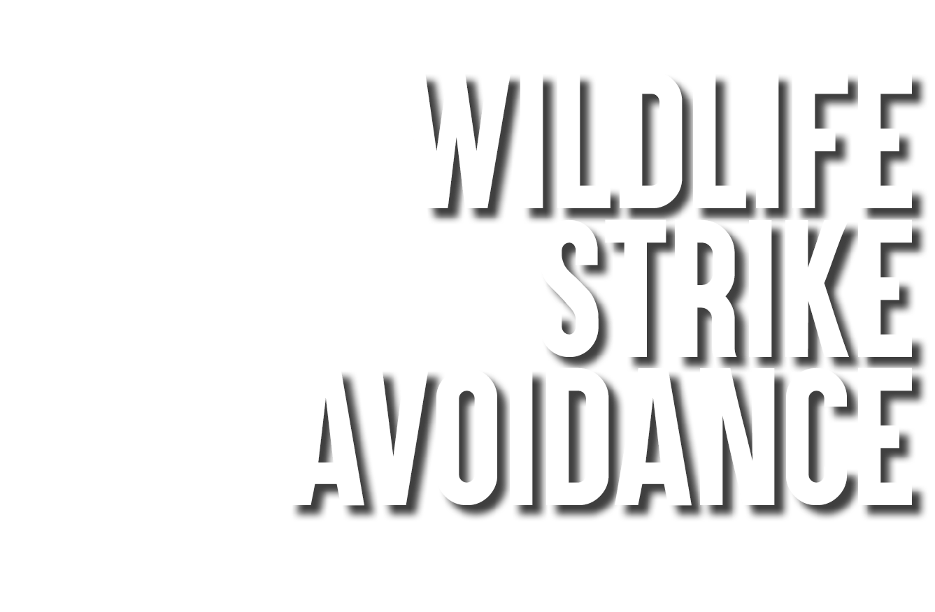 Wildlife Strike Avoidance 