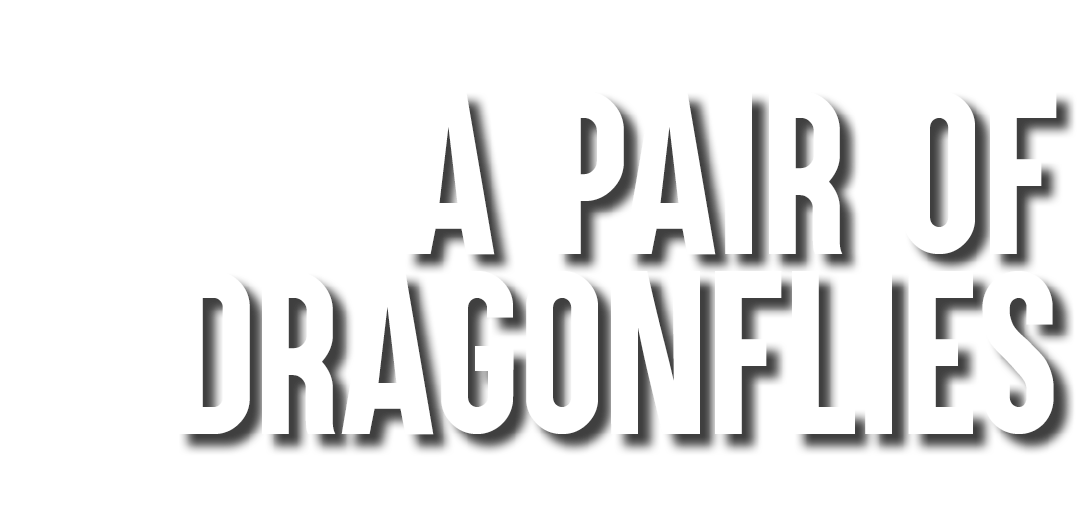 A Pair of Dragonflies