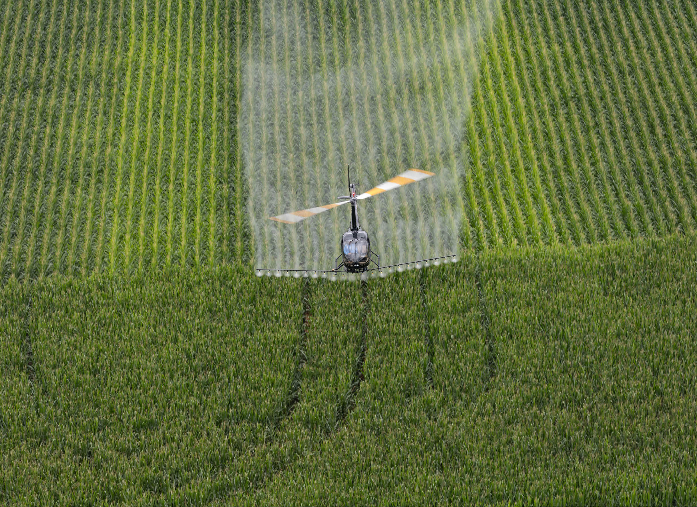 A helicopter is flying over a field of crops, spraying water on the plants. AI generated content