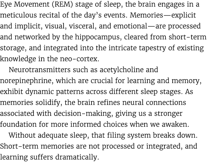 Eye Movement (REM) stage of sleep, the brain engages in a meticulous recital of the day’s events. Memories—explicit a...