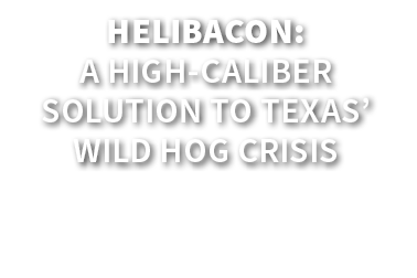 HeliBacon: A High Caliber Solution to Texas’ Wild Hog Crisis
