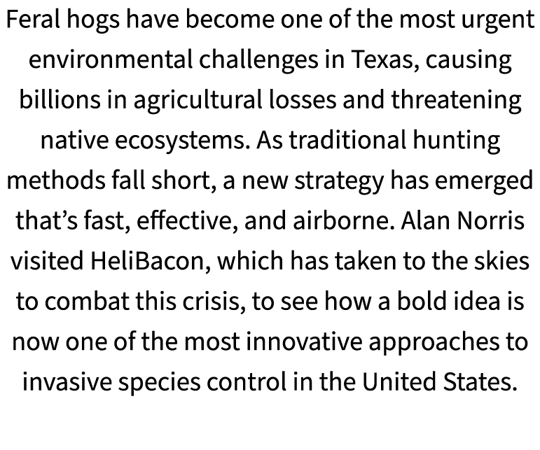 Feral hogs have become one of the most urgent environmental challenges in Texas, causing billions in agricultural los...