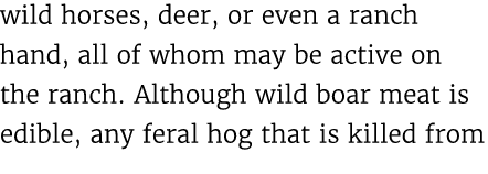 wild horses, deer, or even a ranch hand, all of whom may be active on the ranch. Although wild boar meat is edible, a...