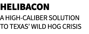 HeliBacon A High Caliber Solution to Texas’ Wild Hog Crisis