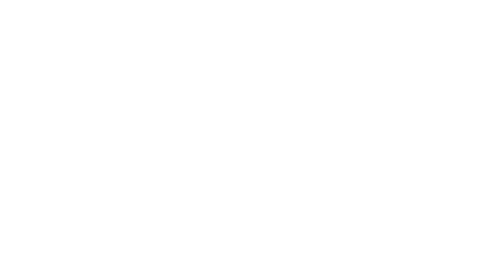 When Helimer 203 flew into the unknown