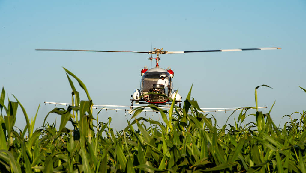 A white helicopter with red and black accents is flying over a field of tall green grass. Description generated by AI