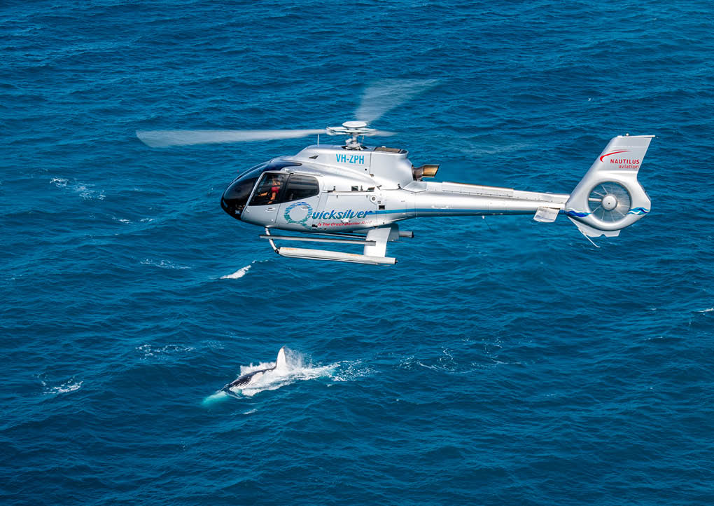 A helicopter flying over the ocean with a shark swimming below. Description generated by AI