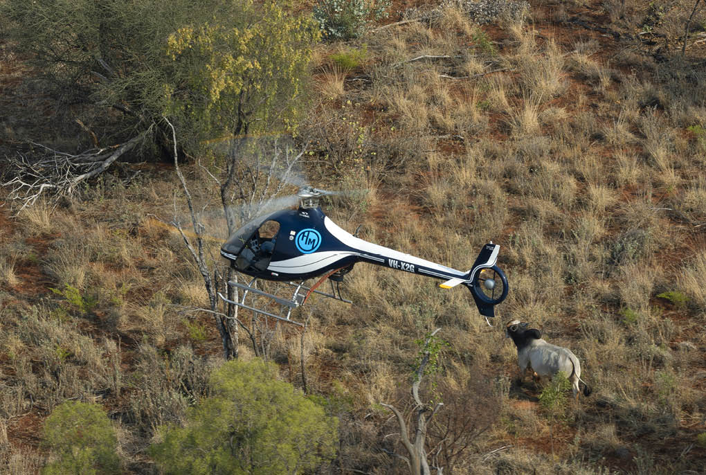 A man holding a gun in a helicopter. Description generated by AI