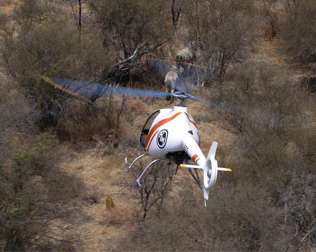 A small white and orange remote-controlled helicopter is flying over a dry, wooded area with sparse trees and brown foliage. Description generated by AI