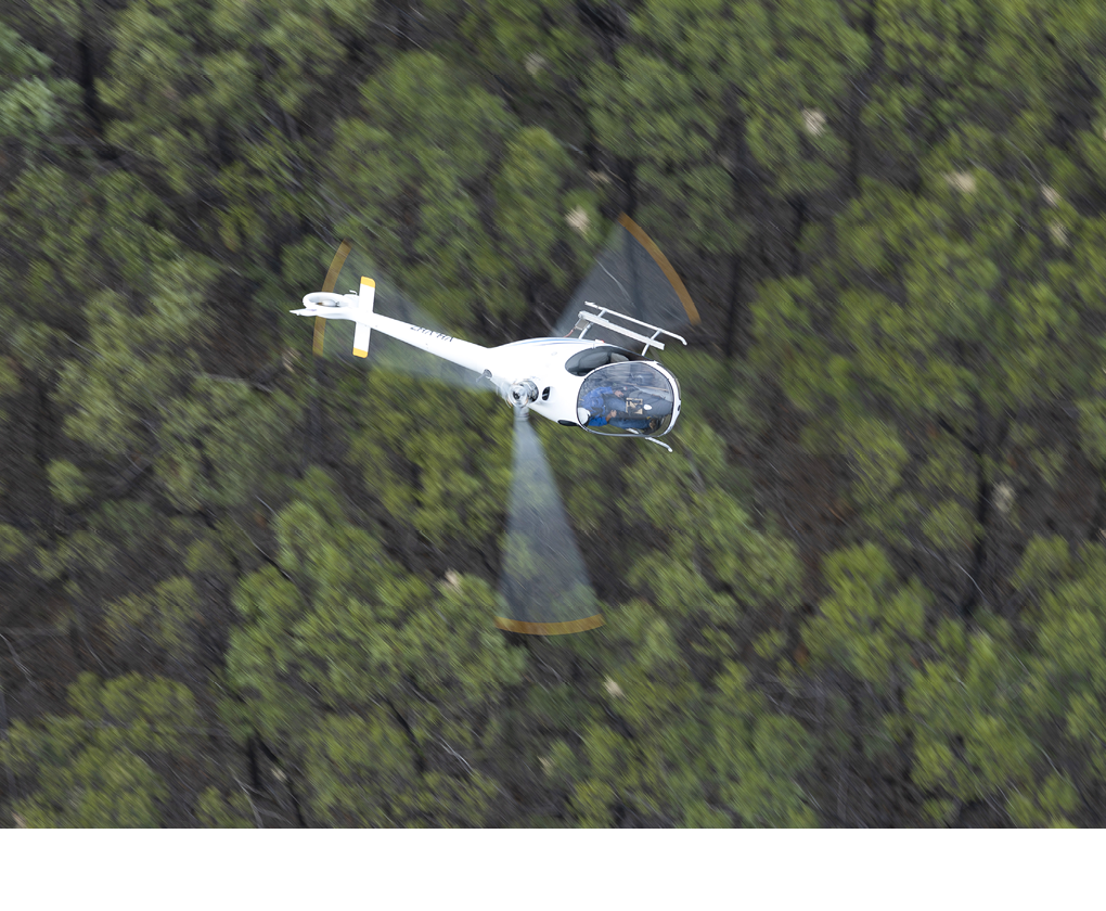 A white helicopter is flying over a dense forest with its rotor blades in motion. Description generated by AI