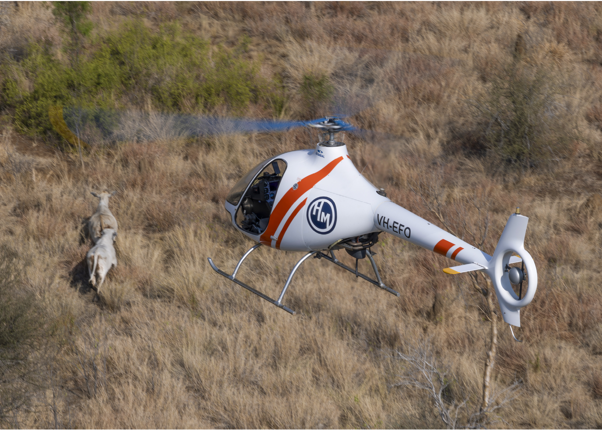A black helicopter flying over a beach. Description generated by AI