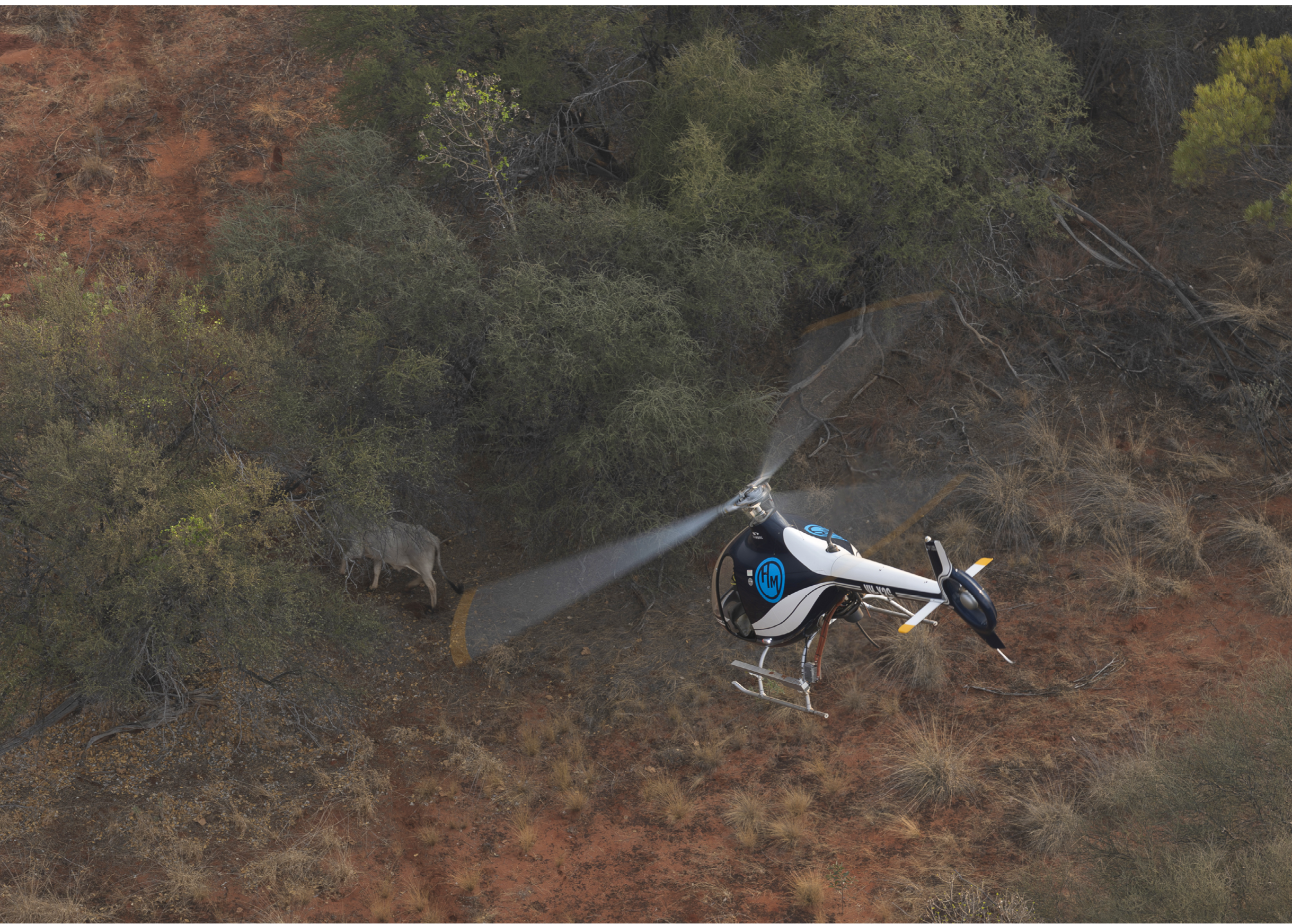 A black helicopter flying over a beach. Description generated by AI