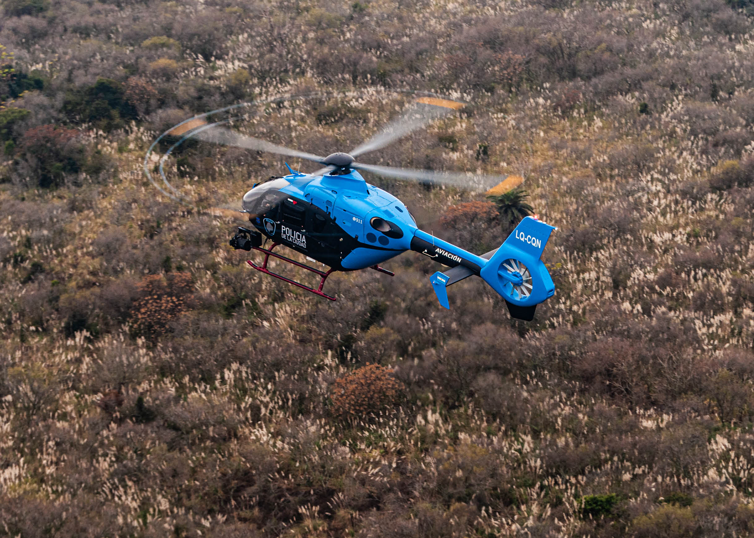 A blue police helicopter is flying over a dense area of brown and green vegetation. Description generated by AI