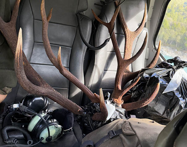 Two black leather seats inside a vehicle are partially obscured by large antlers, with a pair of black headphones hanging above the seats. Description generated by AI