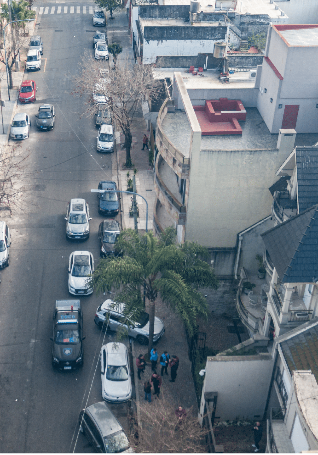 A street scene with parked cars along both sides, a group of people gathered near a palm tree on the sidewalk, and buildings lining the street. Description generated by AI
