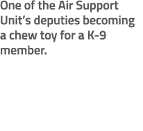 One of the Air Support Unit’s deputies becoming a chew toy for a K 9 member. 