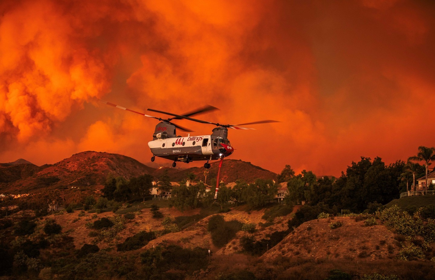 Billings Flying Services CH-47 Chinook making numerous runs during the Airport fire in Orange County California. The sunset caused the
orange glow of the smoke. This Chinook was working the fire for numerous days. The exact location of this photo was off of Dove Canyon Road.
There were a few other aircraft that were getting water from this location as well as the Oso lake. The fire has burned over 23,000 acres
and spread int Riverside county. Currently the fire is at 88% containment. The fire started in the Trabuco Canyon area by county workers.