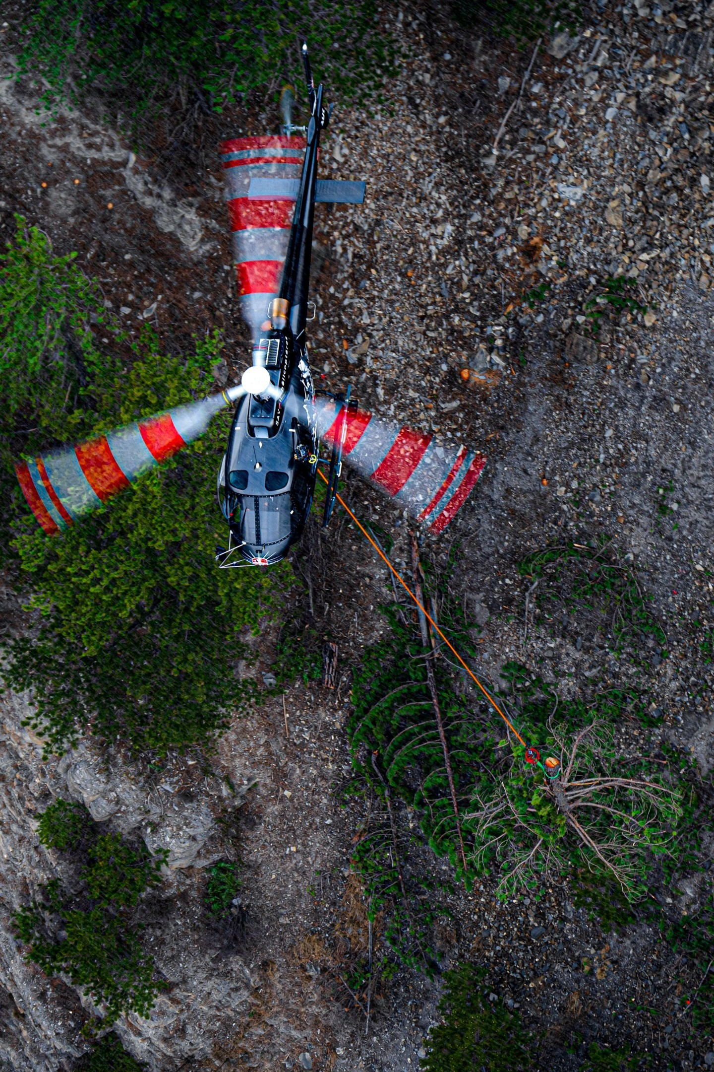 I captured this H125 from Savoie Hélicoptères during an air-to-air shoot. We're in the French Alps during a logging mission on a cliff to secure a road. We can see the H125 lifting a tree weighing around 1 tonne, from this rare angle where the tree appears so close despite a 30-meter long sling, all under the snow.