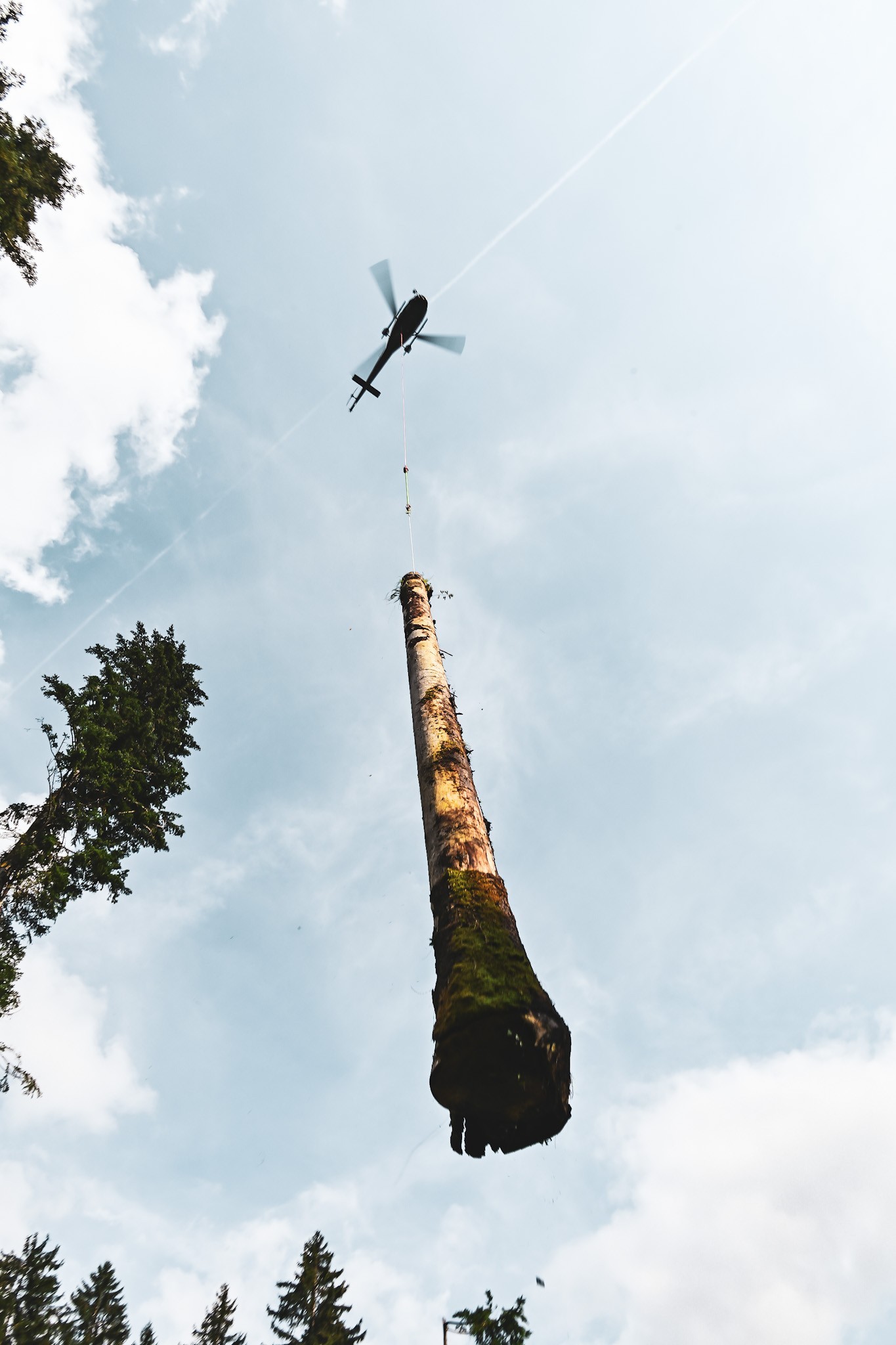 Took this picture with Savoie Helicoptere Team, 
During a logging mission in Haute-Savoie, being at the heart of the action allowed me to capture these images and truly appreciate their expertise and professionalism.