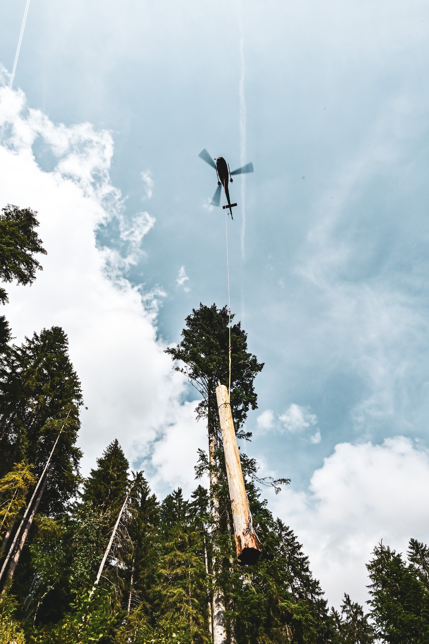 Took this picture with Savoie Helicoptere, 
During a logging mission in Haute-Savoie, being at the heart of the action allowed me to capture these images and truly appreciate their expertise and professionalism.