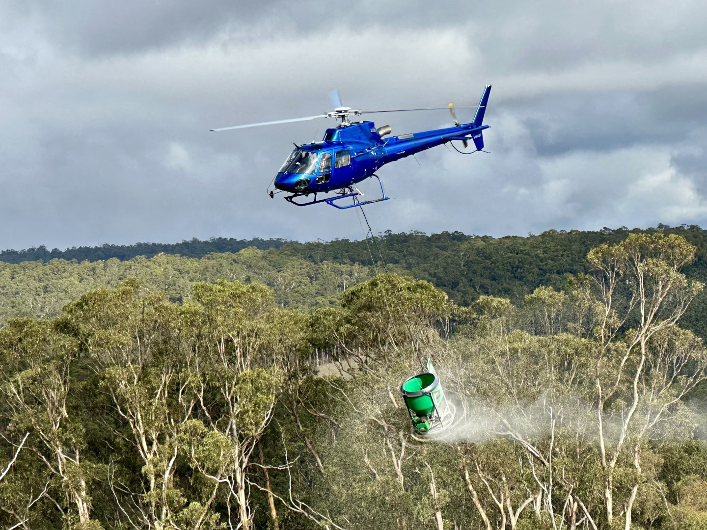 Otway Helicopters AS350 B3+ spreading fertiliser in South west  Victoria Australia