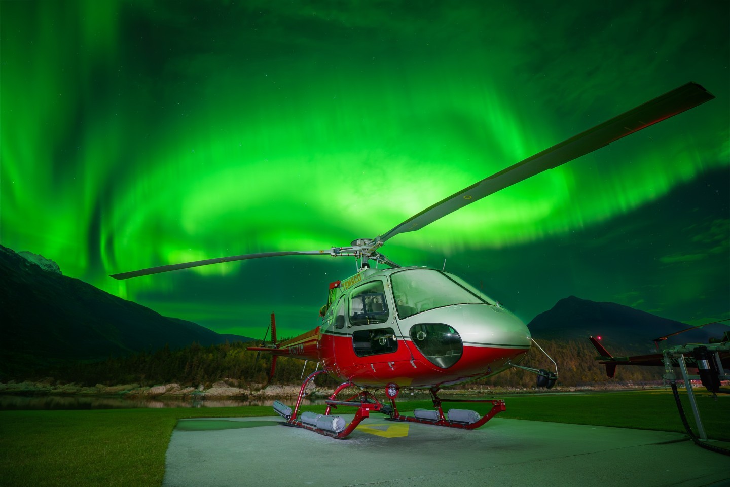 At the end of a long summer season, these astars rest and enjoy the lights above.